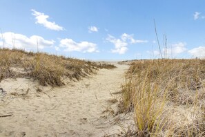 On the beach