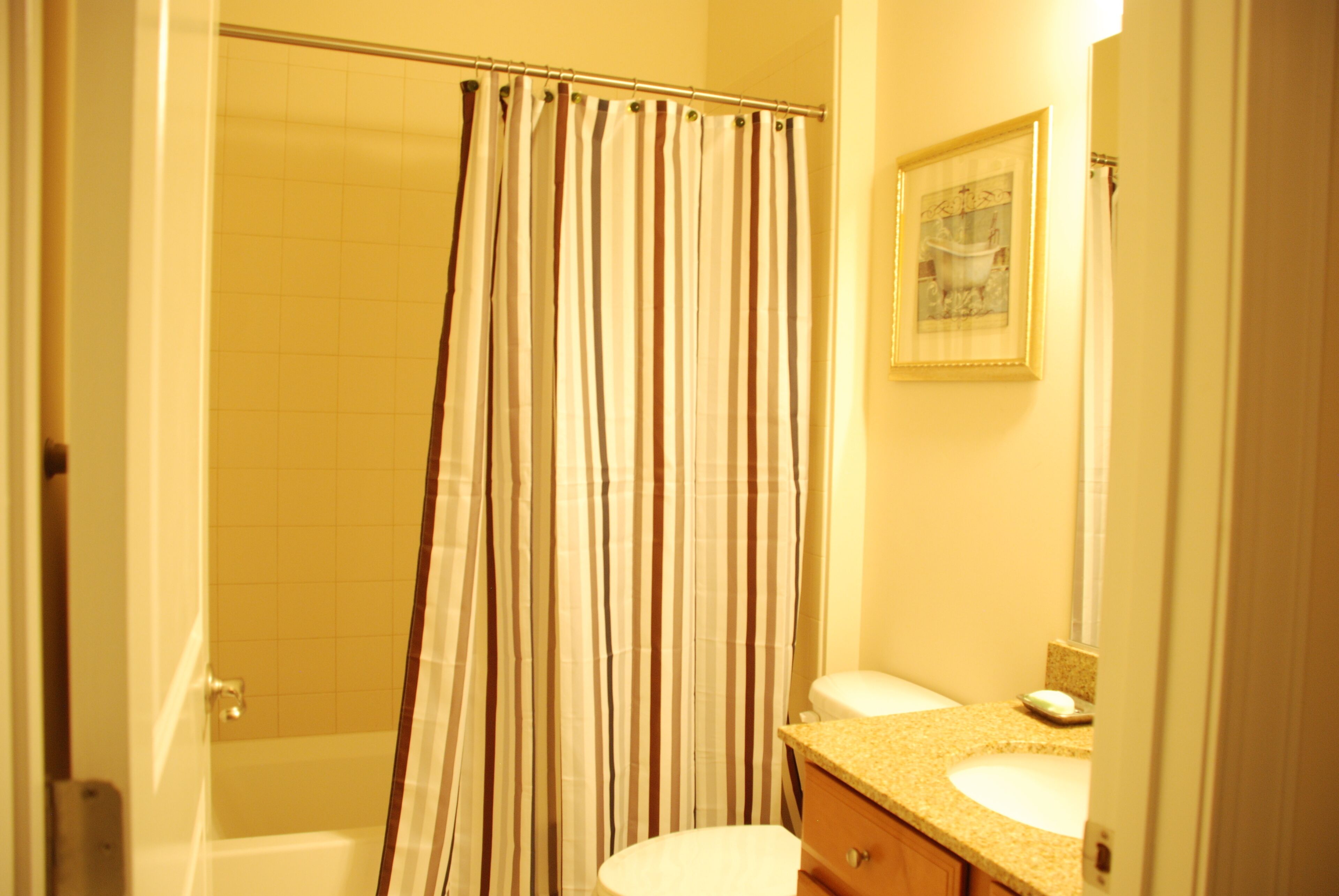 Ein Badezimmer mit Duschvorhang, Toilette, Waschbecken und einem gerahmten Bild an der Wand.