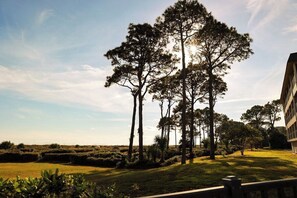 Property grounds - On the beach 183 SeaSide Villas (Hilton Head Island)