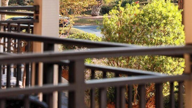 A view from a balcony with a palm tree and a small pond, surrounded by various shrubs and trees. - On the beach 183 SeaSide Villas (Hilton Head Island)