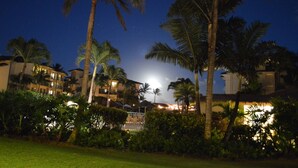 Vista nocturna de un complejo turístico con palmeras y un edificio con varios balcones.