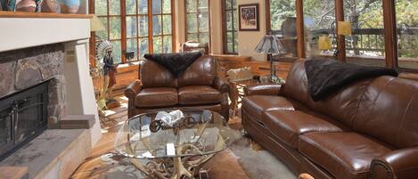 Télévision, cheminée, lecteur de DVD, chaîne hi-fi