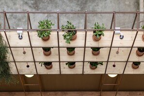 A wooden structure with multiple potted plants arranged in a grid pattern. - Nubian Hostel (Athens)