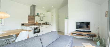 TV, Netflix, DVD player, streaming services