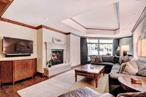 TV, fireplace, video games, DVD player