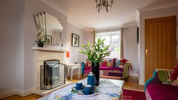 Télévision, cheminée, lecteur de DVD