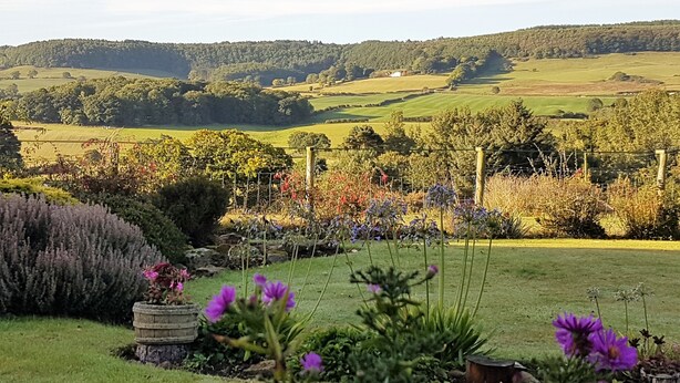 Un paisaje rural con un campo, una cerca de madera y diversas flores.