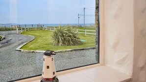 Vista desde una ventana sobre un área verde con una pequeña planta de palmera, una cerca blanca y un camino pavimentado que lleva al mar.