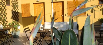 The Yellow House 2 :)