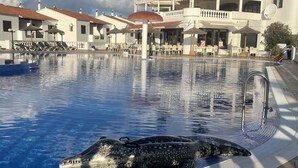 Pool - 2 Bedroom Apartment , Son Bou (Son Bou)