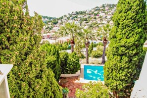 A view of a pool surrounded by tall trees and a hillside of houses.