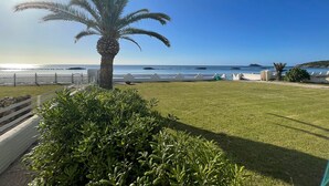 A well-maintained lawn with a palm tree and a view of the sea. - Beach house with private beach access  (Perd'e Sali)