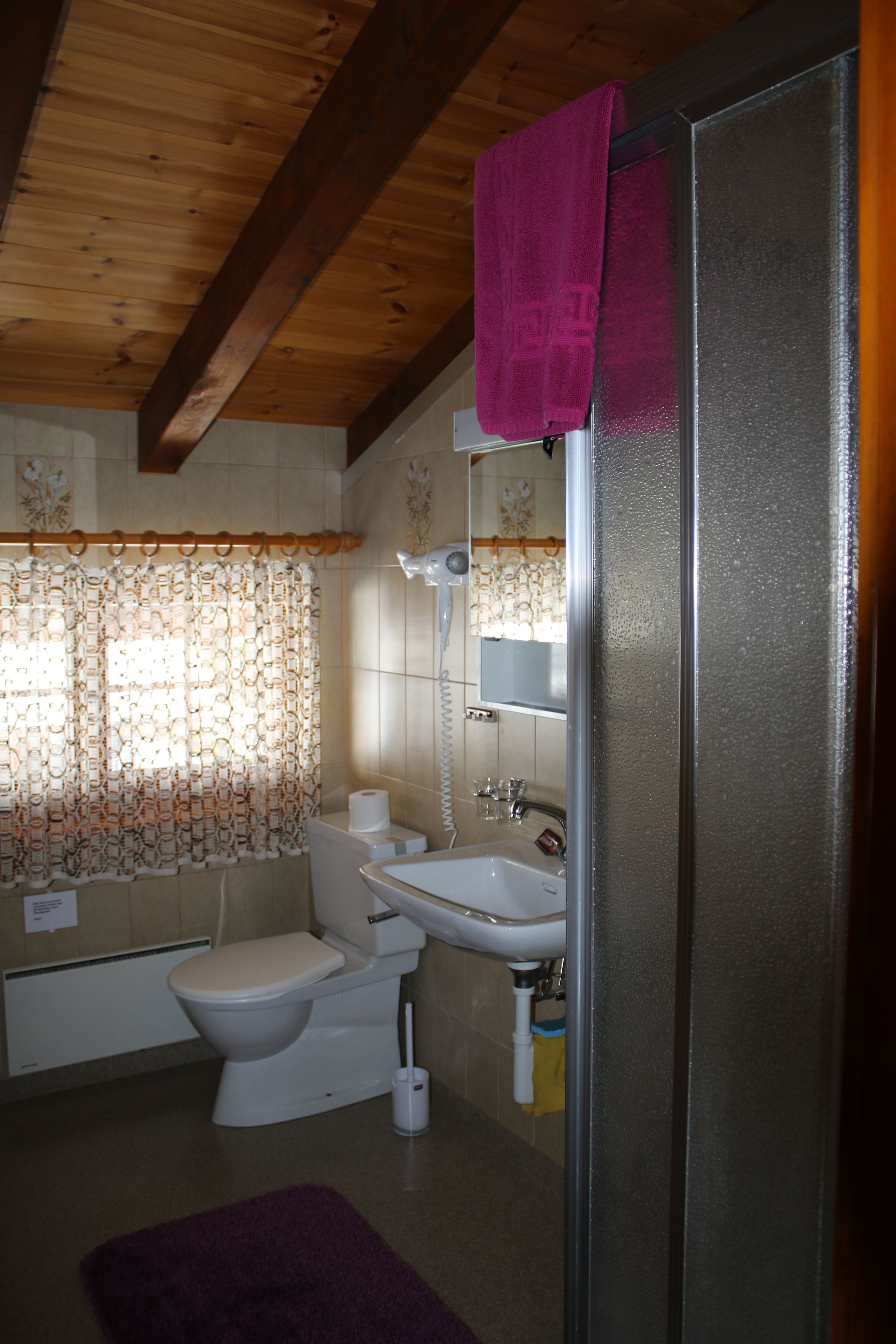 A bathroom with a toilet, sink, and shower.