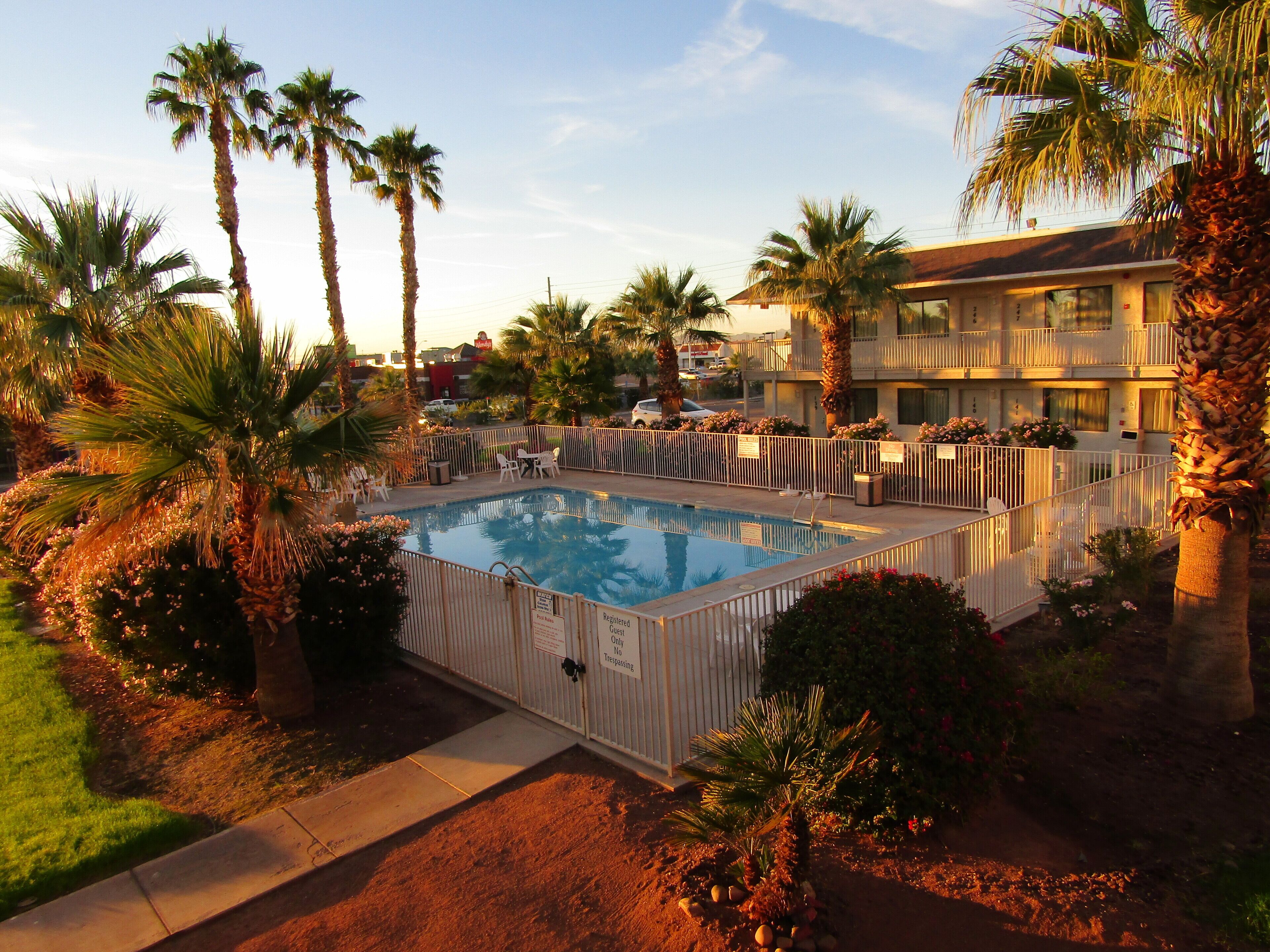 A swimming pool surrounded by palm trees and a fenced deck area.