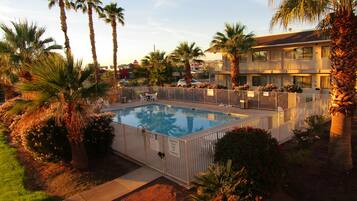 A swimming pool surrounded by palm trees and a fenced deck area.