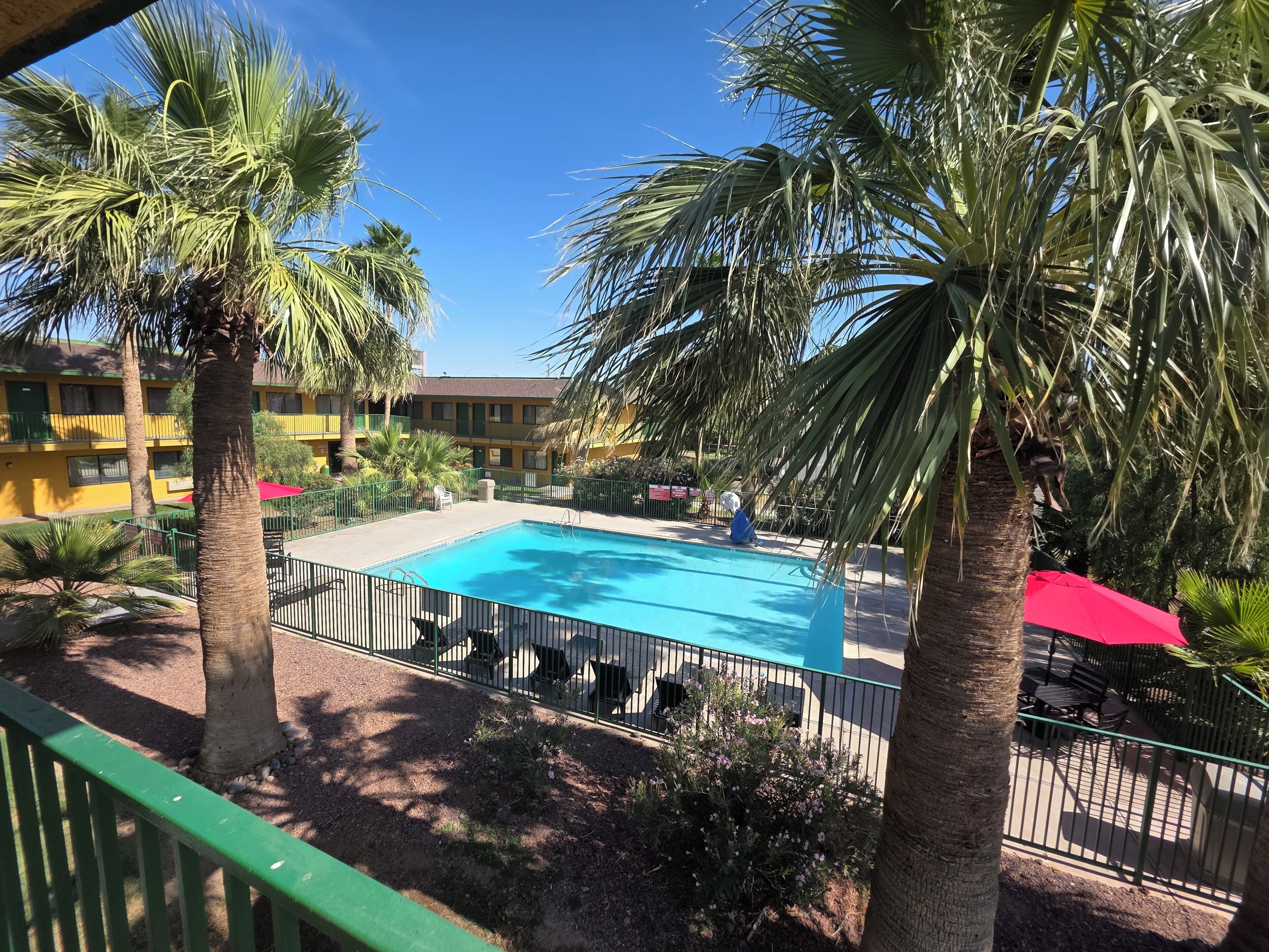 A swimming pool surrounded by palm trees, a fenced patio area, and a yellow building with balconies.