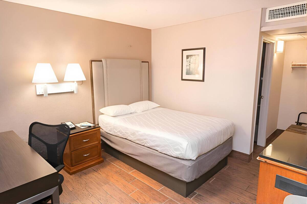 Desk, free WiFi, bed sheets