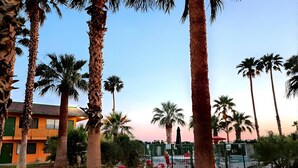 A courtyard with palm trees, a building with orange walls, and a fence.