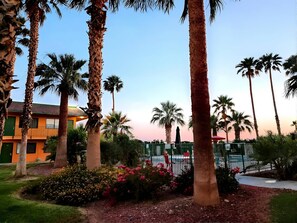 Outdoor pool - Econo Lodge Inn & Suites Yuma (Yuma)