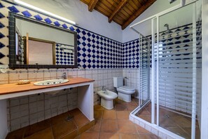 Shower, hair dryer, bidet, towels
