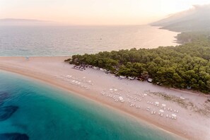 An aerial view of a beach with rows of sun loungers and umbrellas, a dense cluster of trees, and a calm sea.
