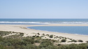 Uma praia com céu claro, areia dourada e vegetação rasteira.