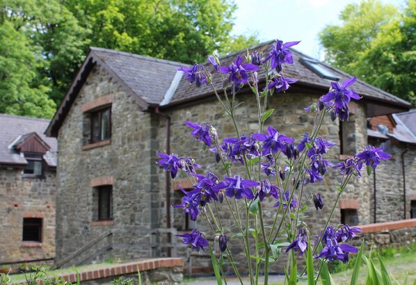 A stone building with multiple windows and a brick pathway leading to it.