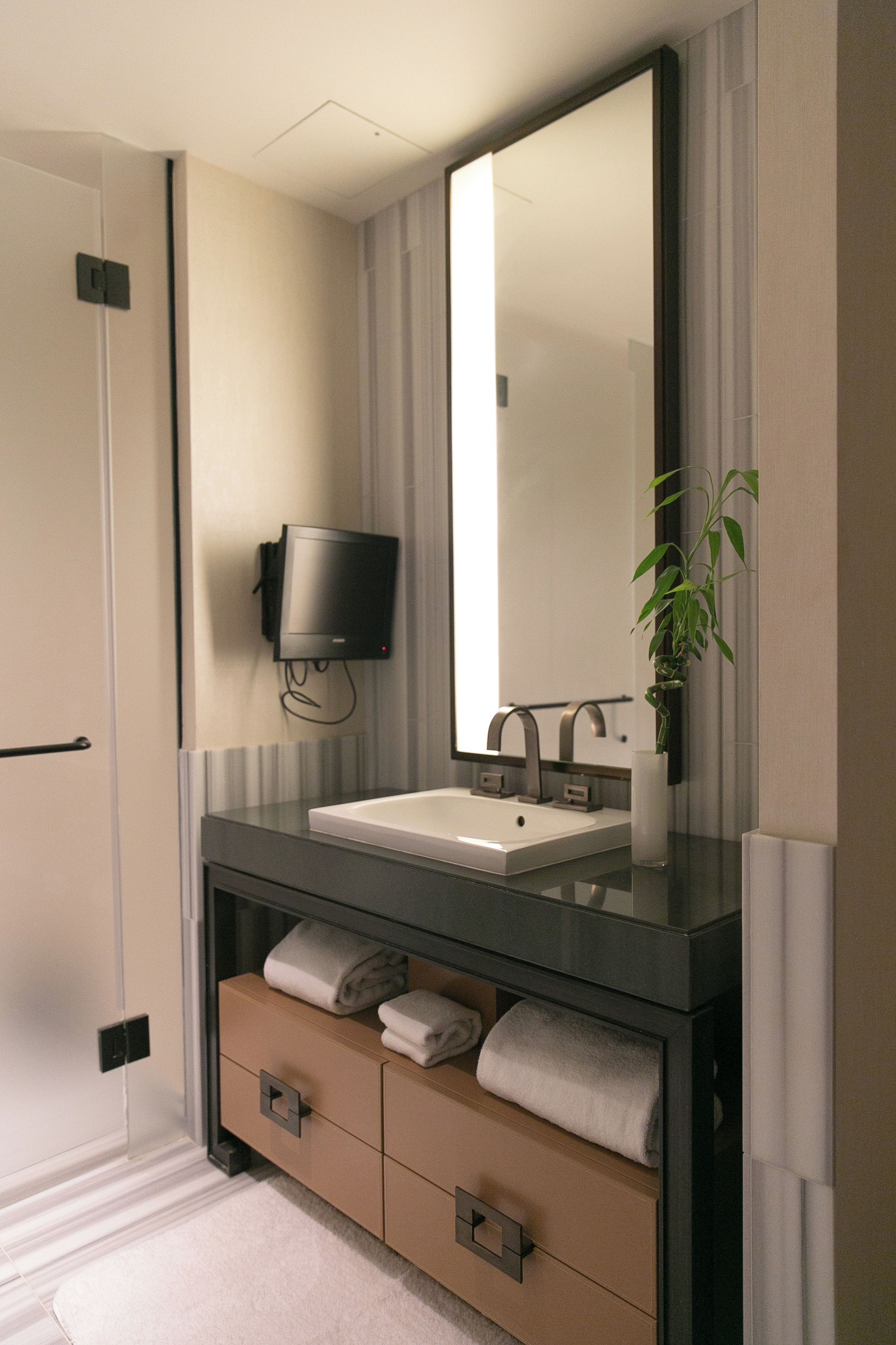 A modern bathroom with a large mirror, a sink, a flat-screen TV mounted on the wall, and a plant in a vase.