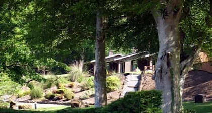 Cottage 8 - a cottages that sleeps 6 guests in 0 bedrooms