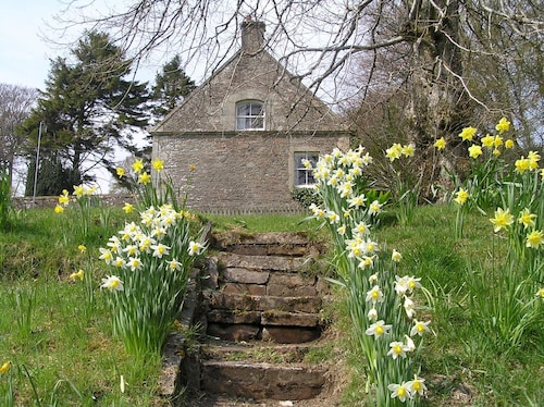 East Twin, Carmichael Country Cottages. Pets welcome.