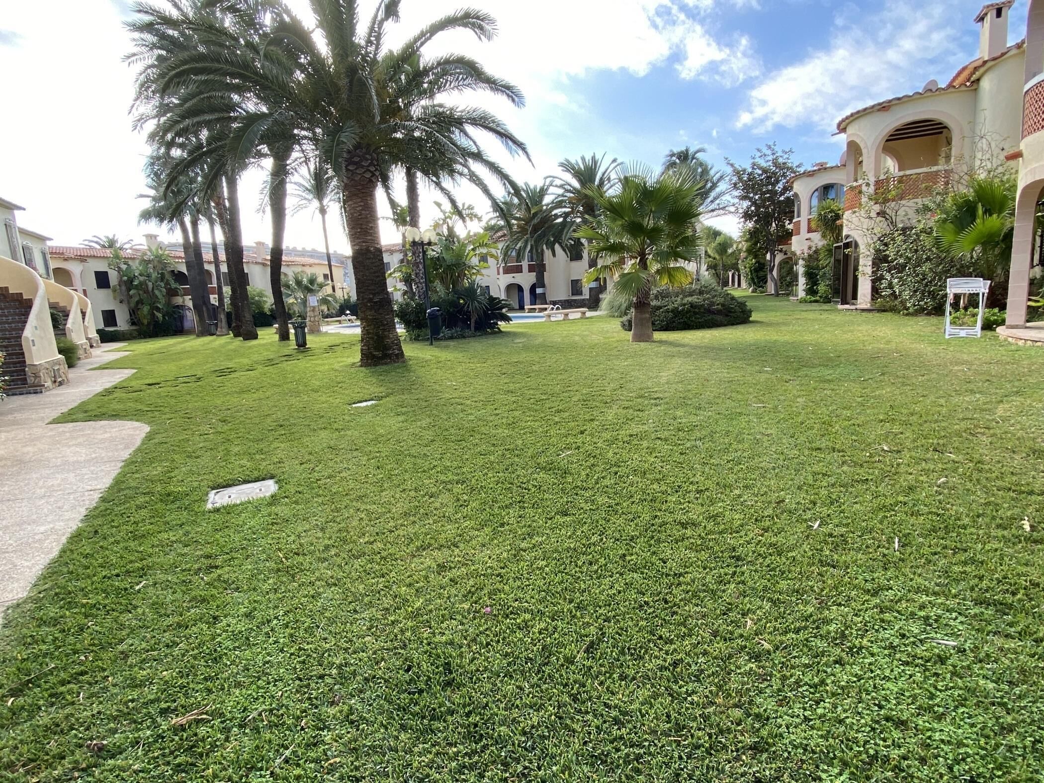 Ein gepflegter Innenhof mit Palmen, einem Swimmingpool und einem Gebäude mit Rundbogenfenstern.