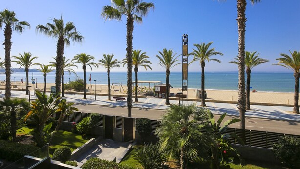 A beachside view with palm trees, a clear sky, and a beach in the background. - SOLUXE Apartment - Only Families - Beachfront (Salou)