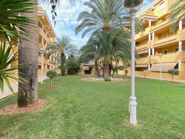 A courtyard with palm trees, a well-maintained lawn, and a yellow building with balconies.