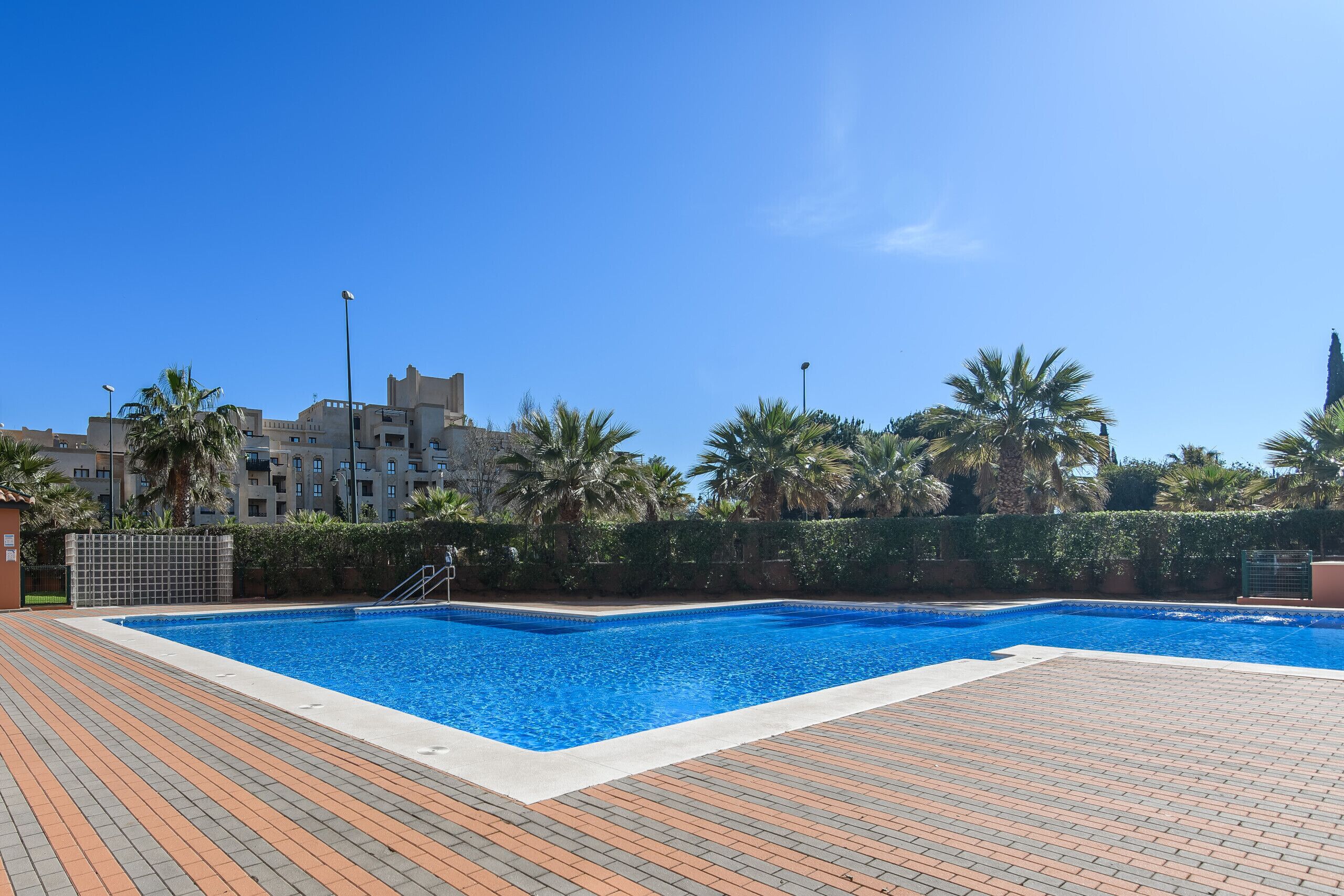 A swimming pool with a tiled deck, surrounded by palm trees and a building in the background.