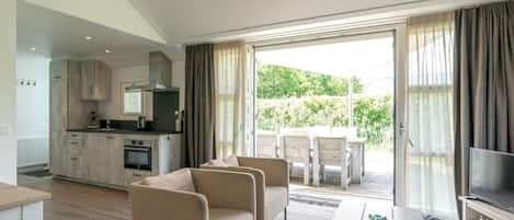 Télévision, cheminée, lecteur de DVD, chaßne hi-fi