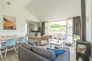 TV, fireplace, DVD player, stereo