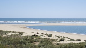 Ein Strand mit blauem Himmel, sandigem Ufer und vereinzelter Vegetation.