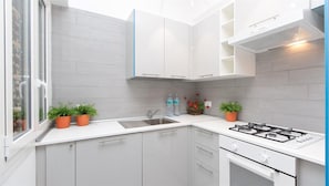 Fridge, microwave, stovetop, dishwasher