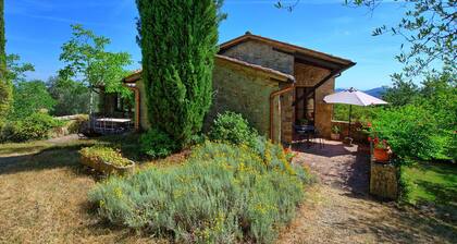 Villa Sarteano - Villa with private pool