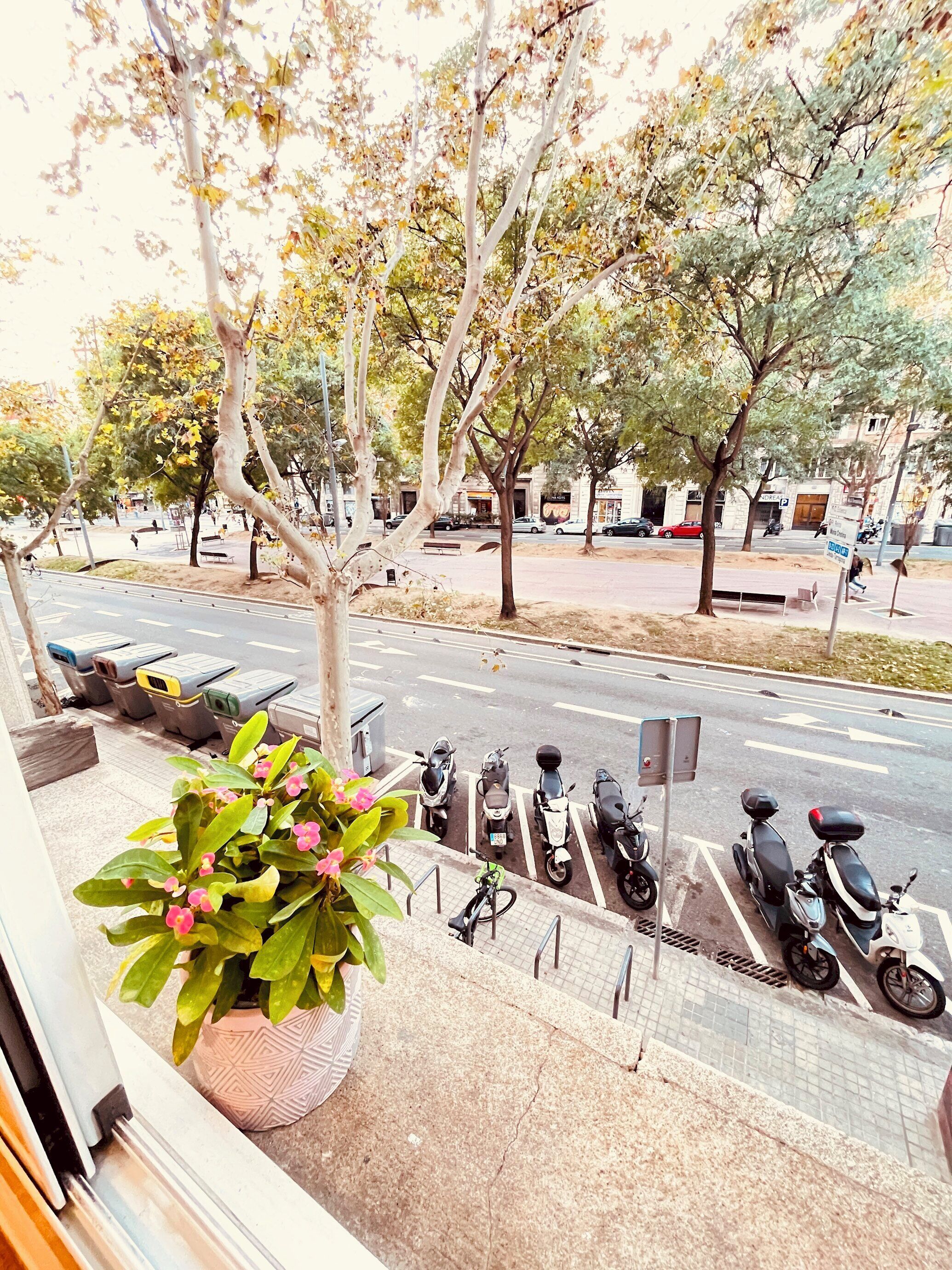 المنطقة المحيطة بالمنشأة