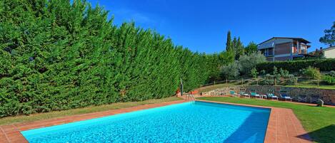 A rectangular swimming pool with clear blue water, surrounded by a brick border.