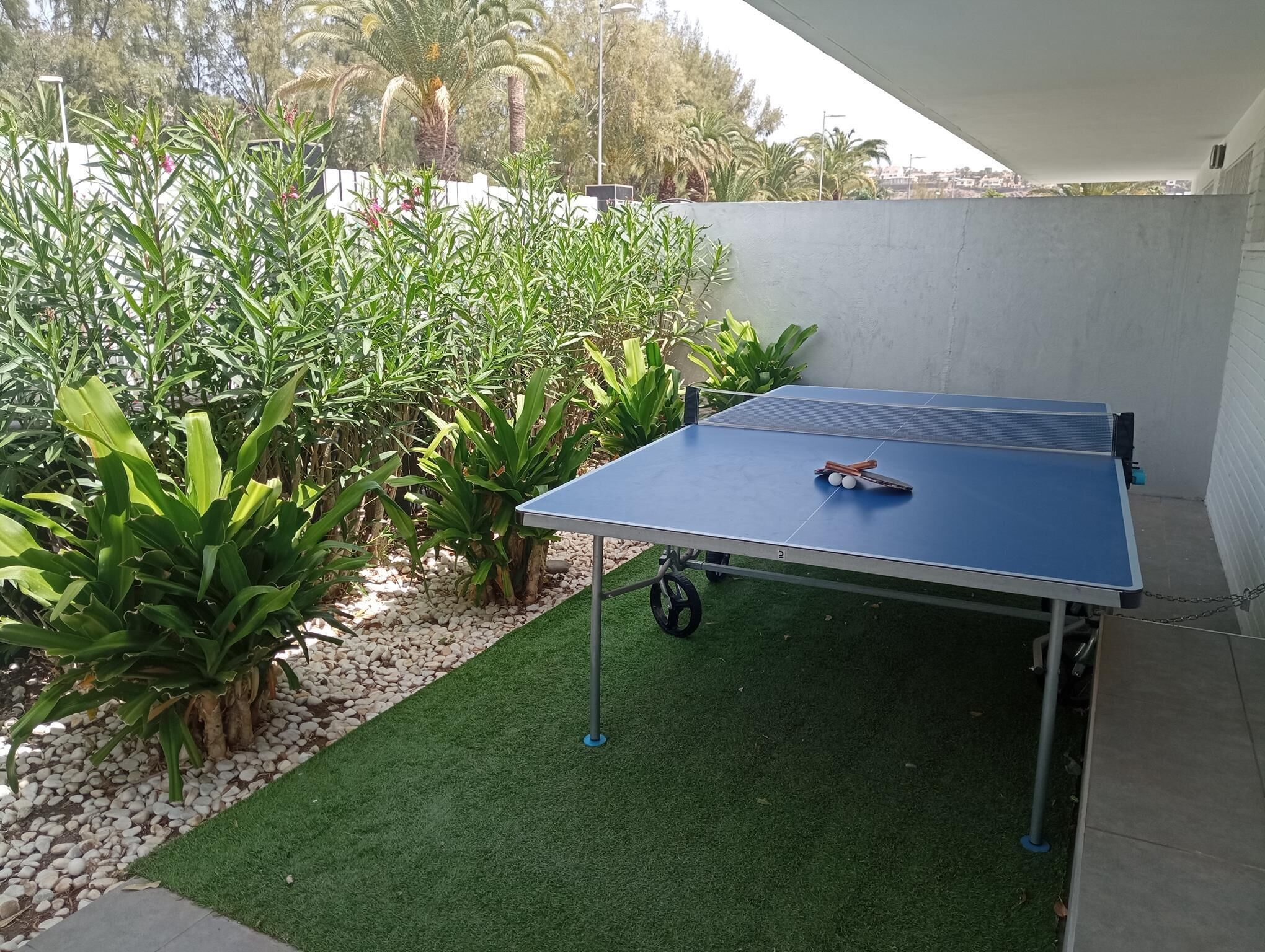 A ping pong table with balls and paddles, surrounded by green plants and a white wall.
