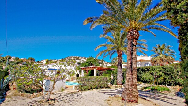 A residential area with a pool, palm trees, and houses with white walls and red roofs. - Kathrin - beautiful little house in pretty grounds with lovely views in Benissa (Benissa)