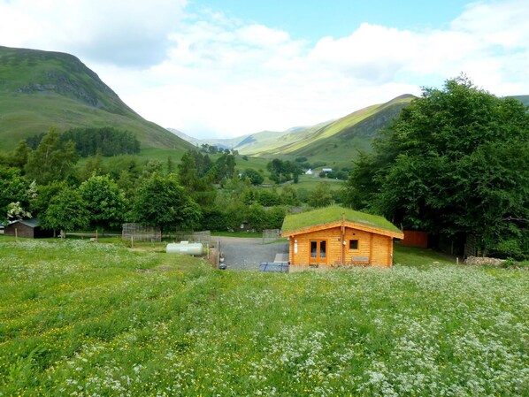 A rustic cabin with a green roof in a lush valley, surrounded by wildflowers and trees.