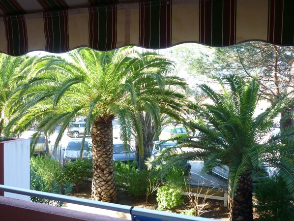 A balcony with a view of parked cars and palm trees. - Apartment in Le Lavandou, completely renovated in June 2013, in gated community with guard (Le Lavandou)