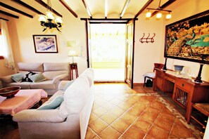 Televisor, llar de foc i reproductor de DVD