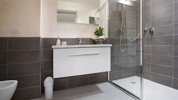 Shower, hair dryer, bidet, towels