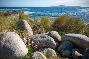Beach nearby - Cottage 215 Claddaghduff Connemara (Connemara)