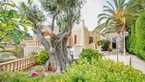 Eine Villa im mediterranen Stil mit einem großen Baum im Garten, einer Steinmauer und einer Palme.