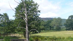 View from property - Morrells Wood Farm - The Byre (Shrewsbury)